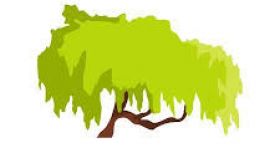 280x158 Willow Tree Clipart Free All About Clipart