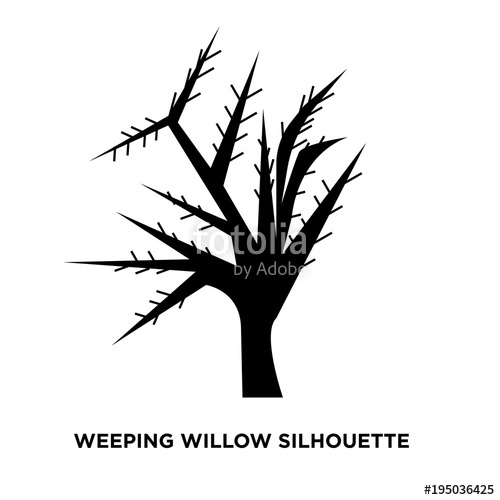 500x500 Weeping Willow Silhouette On White Background Stock Image And