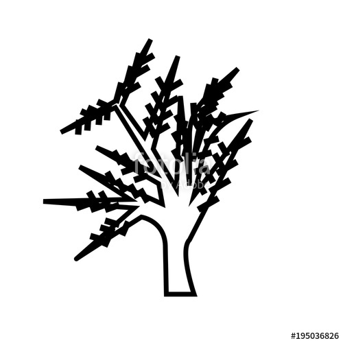 500x500 Weeping Willow Silhouette Outline On White Background Stock Image