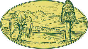300x170 Weeping Willow Tree Royalty Free Vectors