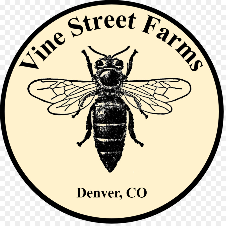 900x900 Western Honey Bee Drone Vector Graphics Clip Art