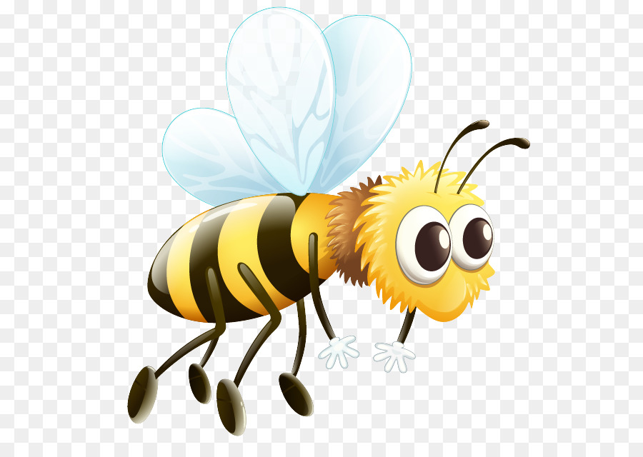 900x640 Western Honey Bee Vector Graphics Clip Art Drone