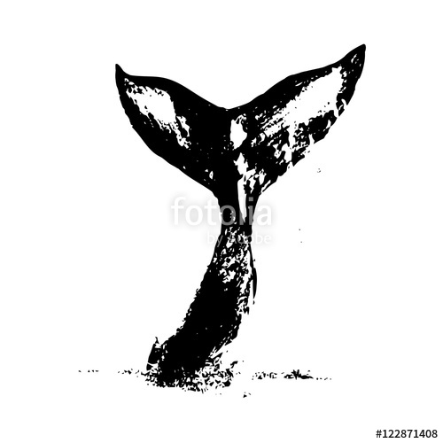 500x500 Whale Tail Vector Stock Image And Royalty Free Vector Files On
