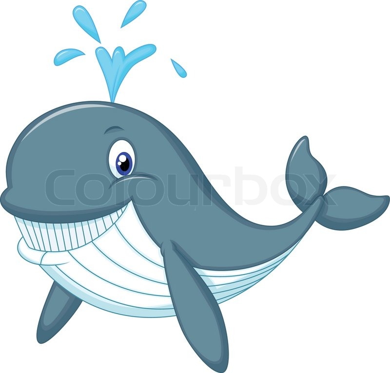 800x766 Vector Illustration Of Cute Whale Cartoon Stock Vector Colourbox