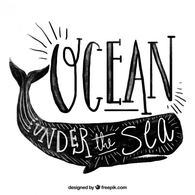 626x626 Whale Vectors, Photos And Psd Files Free Download