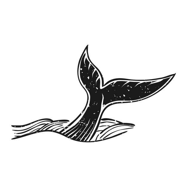 626x626 Whale Vectors, Photos And Psd Files Free Download