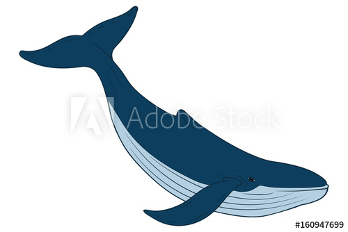 500x334 Whale. Vector Art.