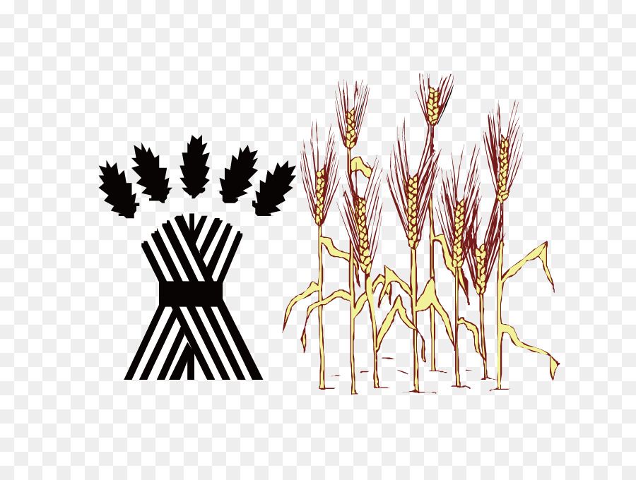 900x680 Graphic Design