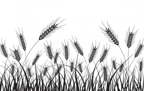 600x380 Wheat Field Silhouette Vector Background