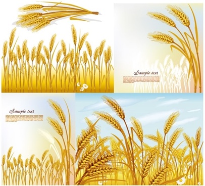 406x368 Wheat Field Free Vector Download (780 Free Vector) For Commercial