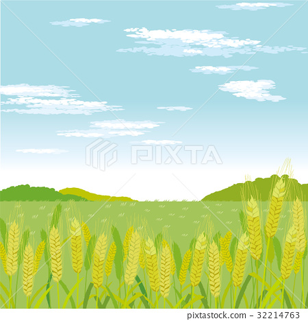 450x468 Wheat Field, Wheatfield, Vector