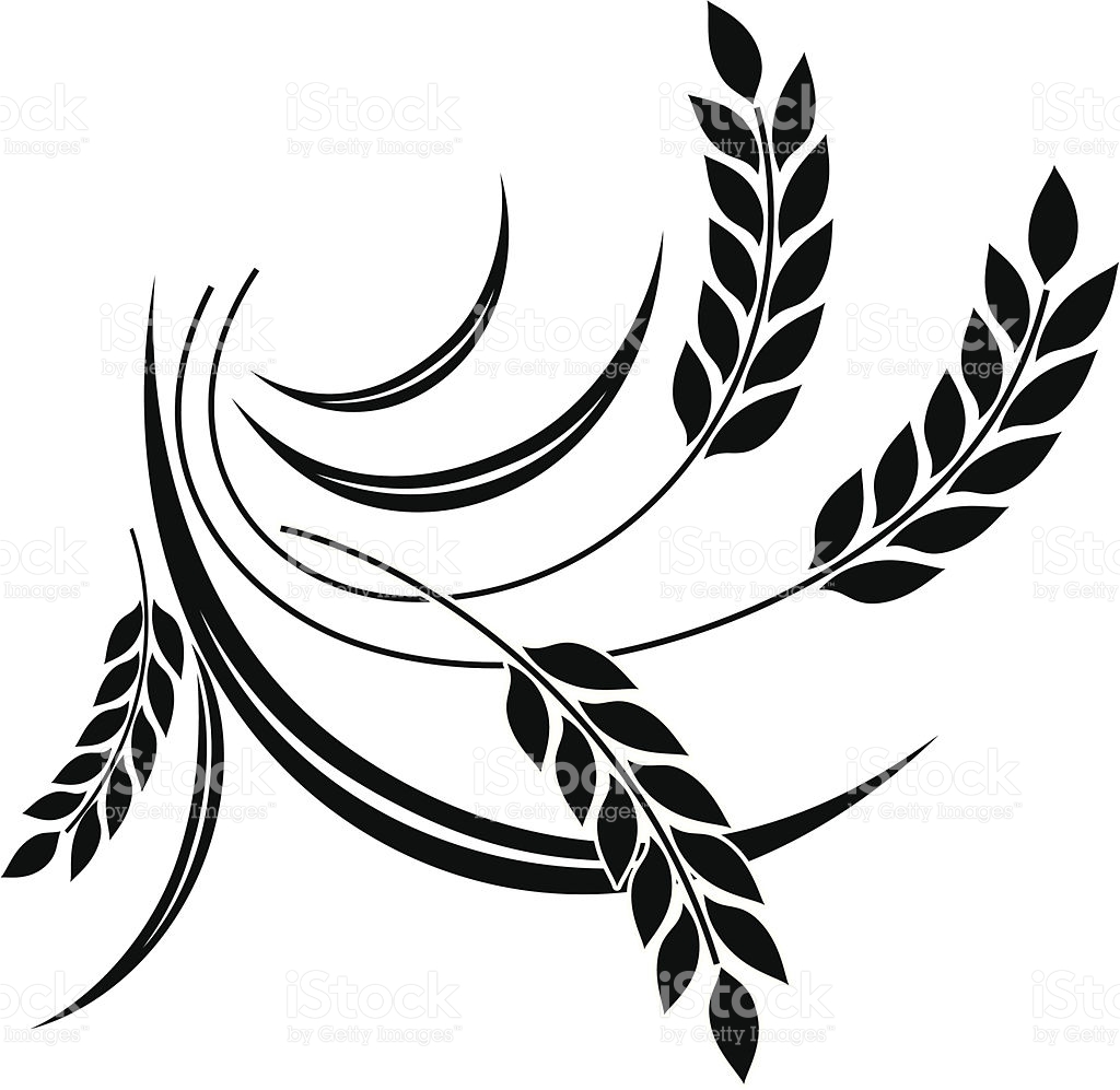 1024x997 Free Wheat Icon Vector 49371 Download Wheat Icon Vector