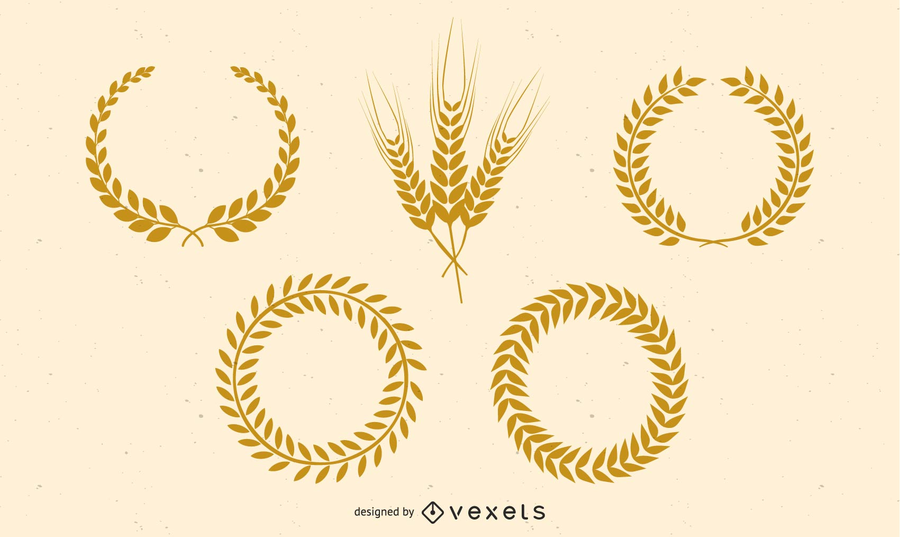 900x537 Golden Wheat Vector