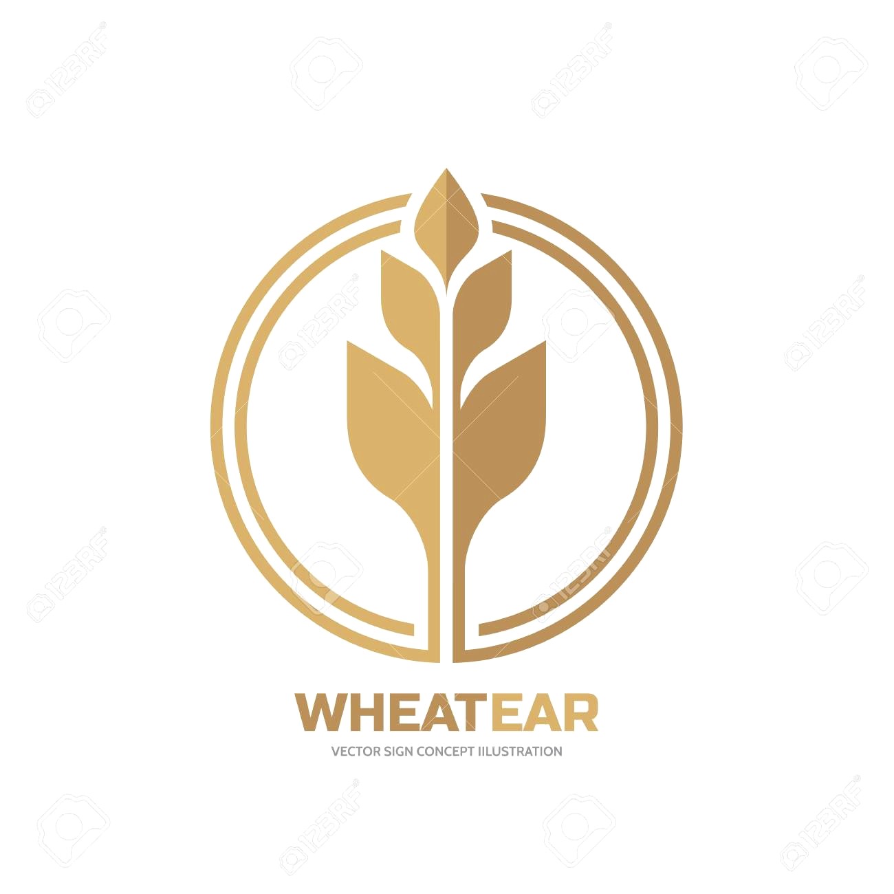 1300x1300 Wheat Vector