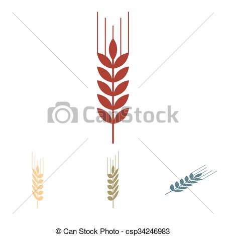 450x470 Wheat Vector Icon Set. Isometric Effect. Wheat Icon Set. Vector