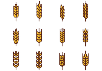 352x247 Free Wheat Vector 2 Free Vector Download 364109 Cannypic
