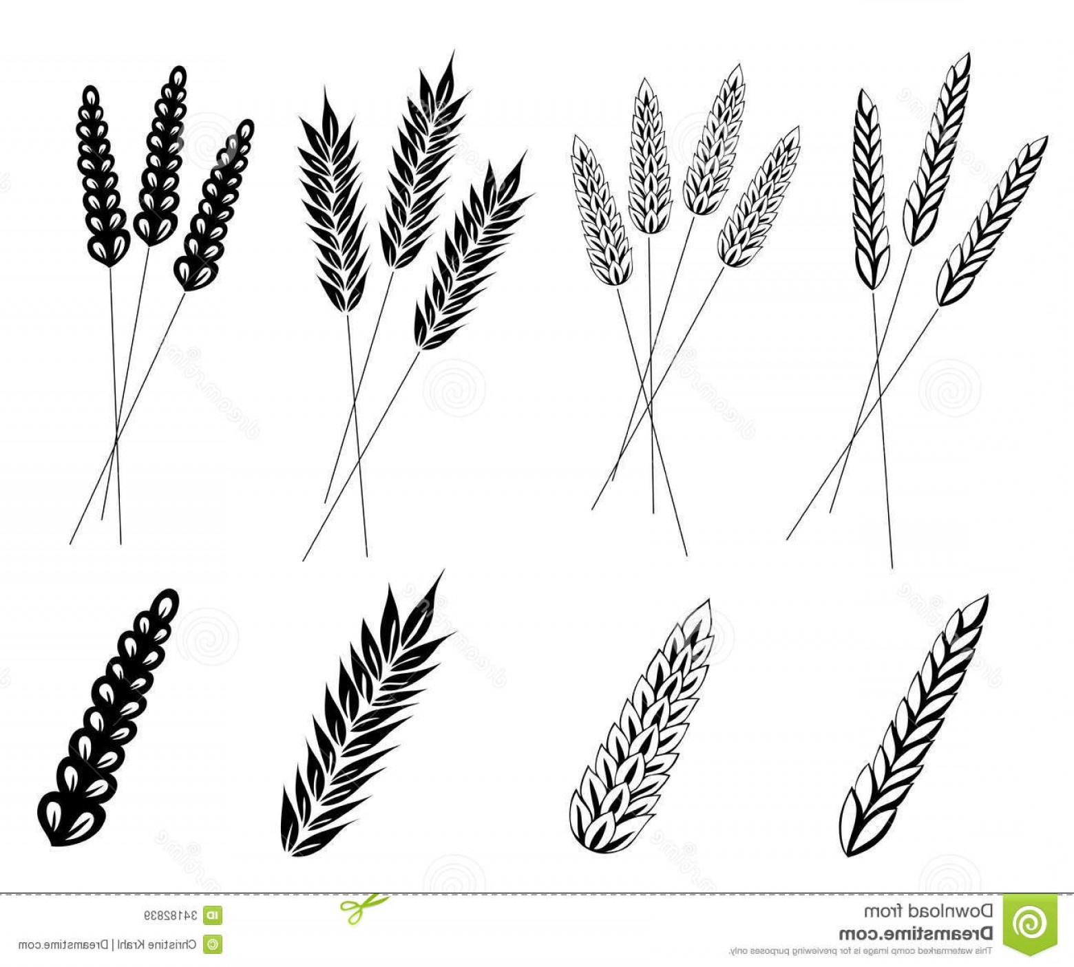 Wheat Vector Free at GetDrawings | Free download