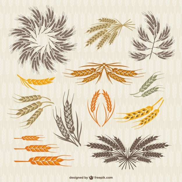 626x626 Vintage Collection Of Crown And Ears Wheat Vector Free Download