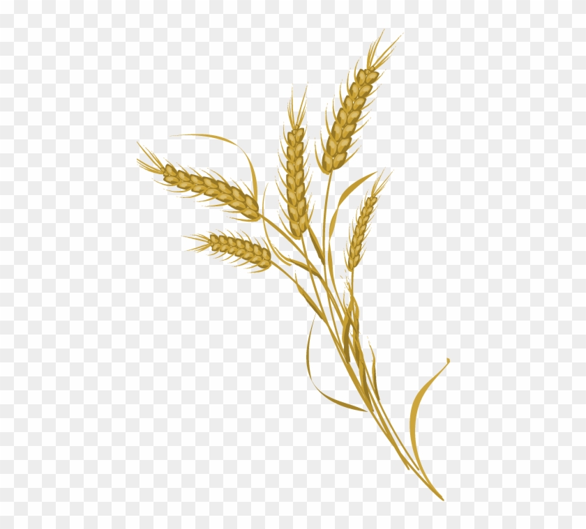 840x759 Wheat Bundle Clip Art Black And White Download
