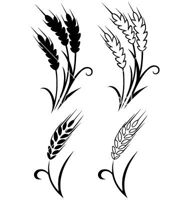 380x400 Wheat Vector Free Free Download Clip Art