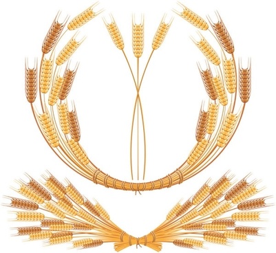 401x368 Wheat Free Vector Download (324 Free Vector) For Commercial Use