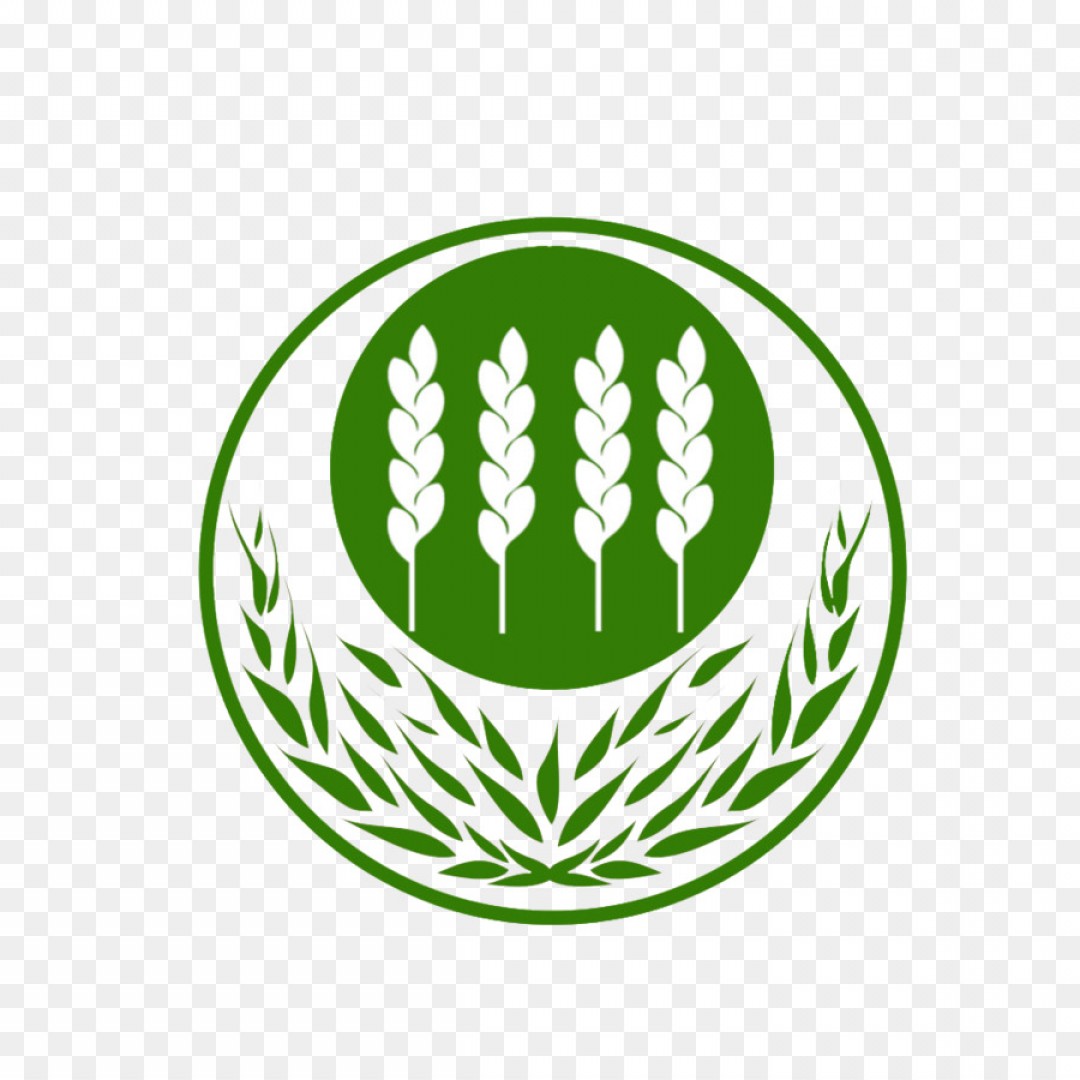 1080x1080 Png Logo Wheat Vecteur Wheat Vector Logo Arenawp