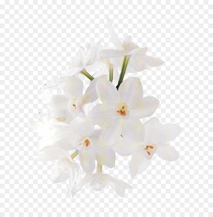 900x920 Floral Design White Flower