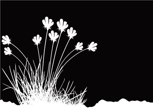 511x362 Flowers And Black And White Vector Free Vector 4vector