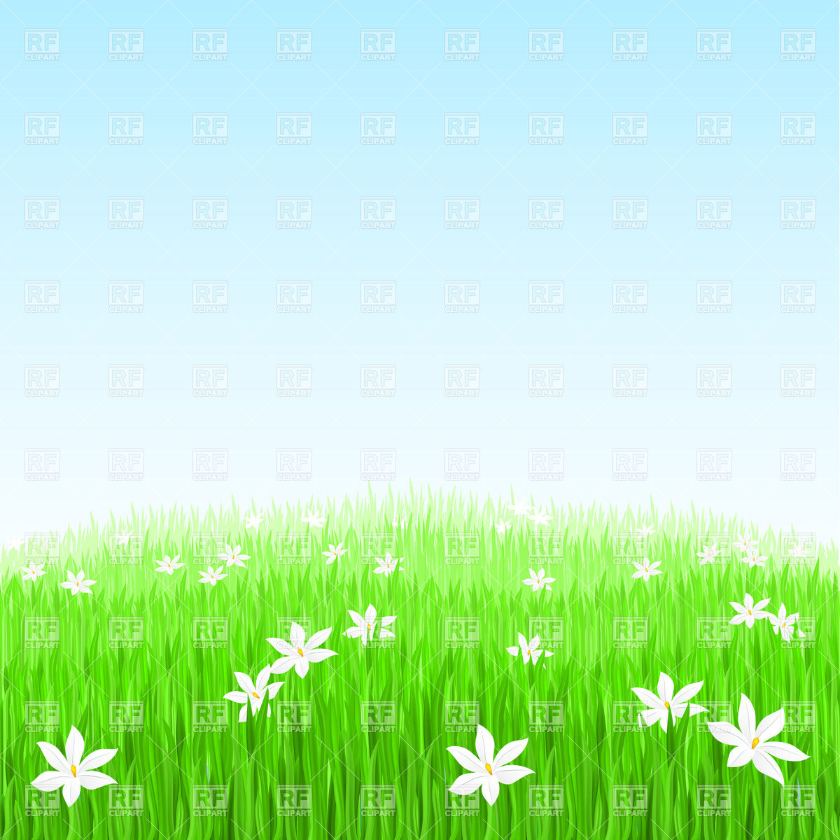1200x1200 Green Grass With White Flowers Vector Image Vector Artwork Of