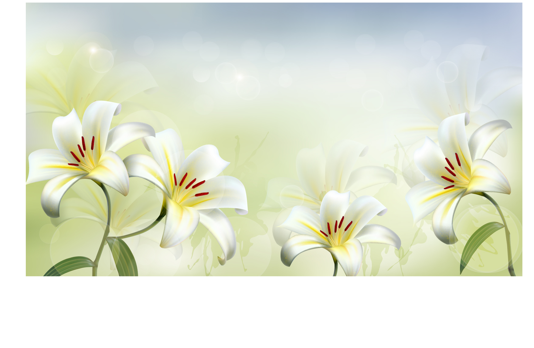 1759x1146 Beautiful White Flower Vector Background 02 Free Download