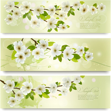 369x368 White Flower Spring Banners Free Vector Download (26,276 Free