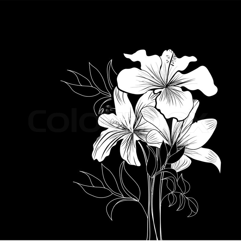 798x800 Black And White Background With White Flowers Stock Vector