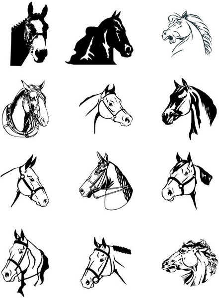 441x600 Black And White Horse Vector Free Vector In Adobe Illustrator Ai