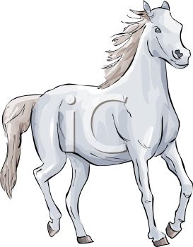 273x350 Picture Of A Beautiful White Horse In A Vector Clip Art