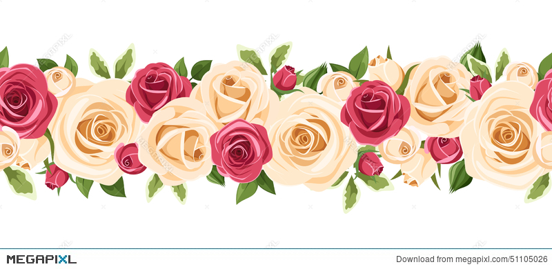 800x390 Horizontal Seamless Background With Red And White Roses. Vector