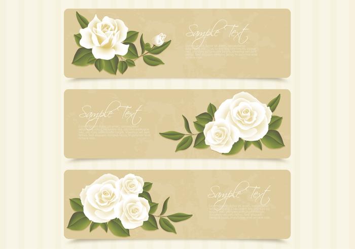 700x490 Retro White Roses Banner Vector Set