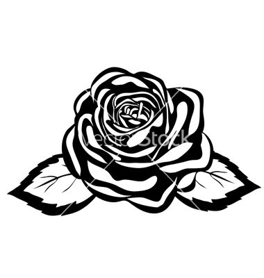 380x400 Abstract Black And White Rose Vector Serkan Stenciling