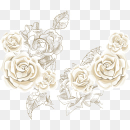 260x260 White Rose Png, Vectors, Psd, And Clipart For Free Download Pngtree