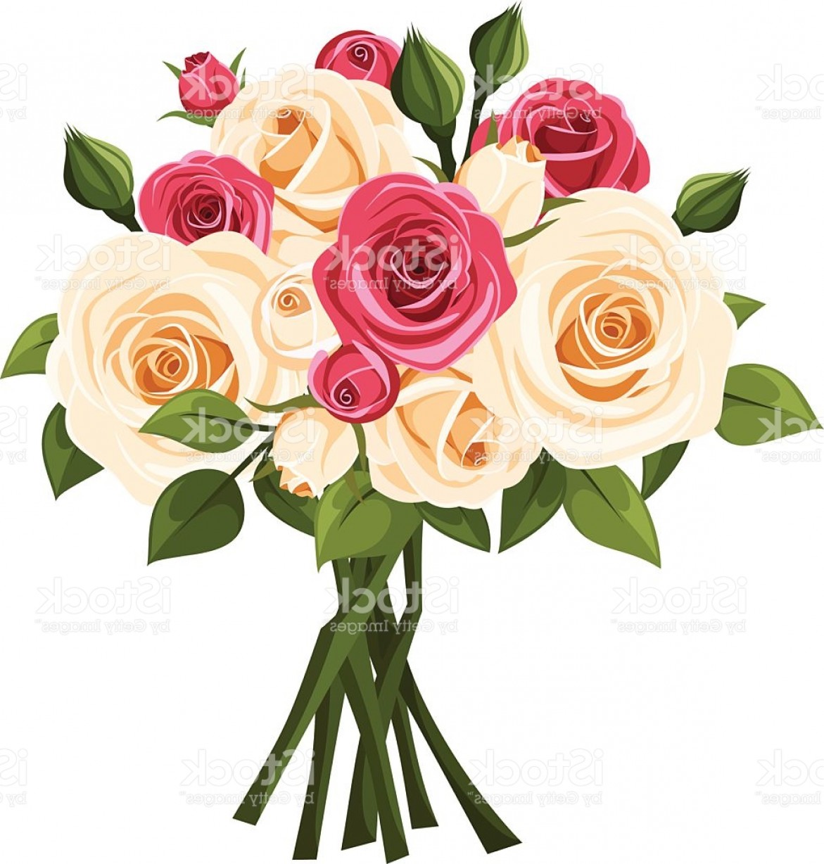 1171x1228 White Rose Vector Arenawp