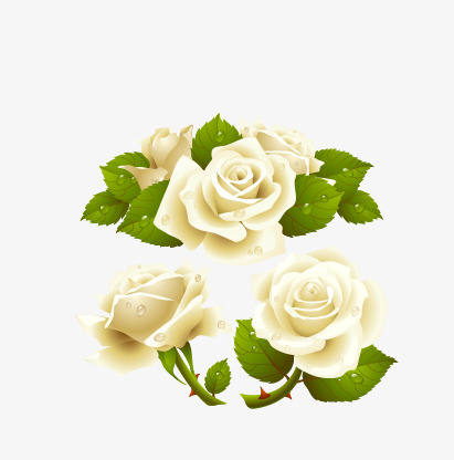 411x416 White Roses, Rose, Leaves, Vector White Roses Png And Vector For