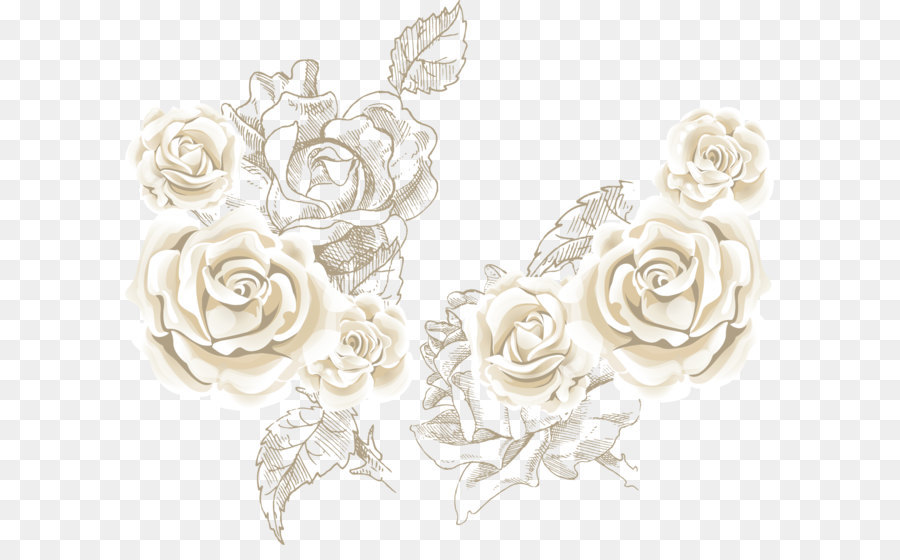 900x560 Beach Rose Flower Clip Art