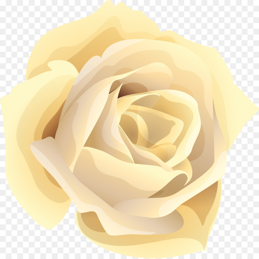 900x900 Download Vector Garden Roses Free Girl Games Flower Centifo White