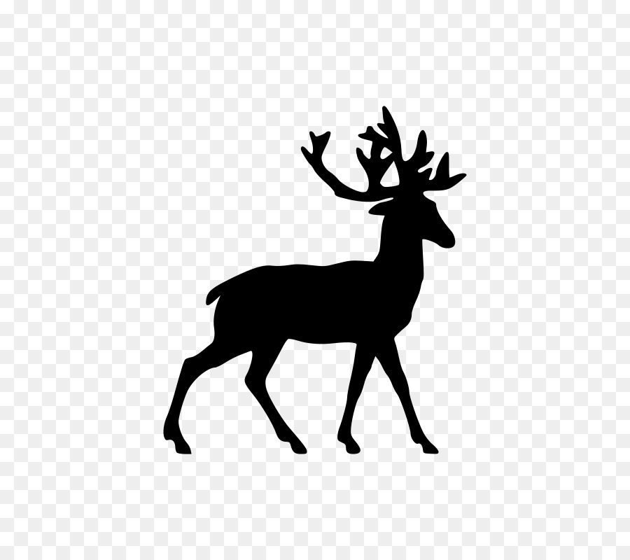 White Tail Deer Vector at GetDrawings | Free download