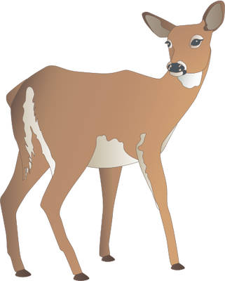 321x400 Deer Vector