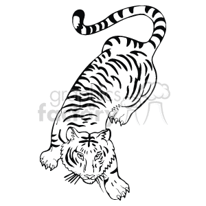 300x300 Royalty Free Black And White Tiger 129247 Vector Clip Art Image