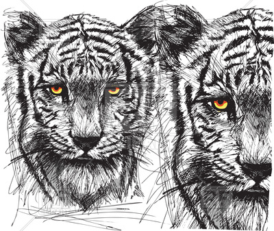 400x337 Sketch Of White Tiger Vector Image Vector Artwork Of Plants And
