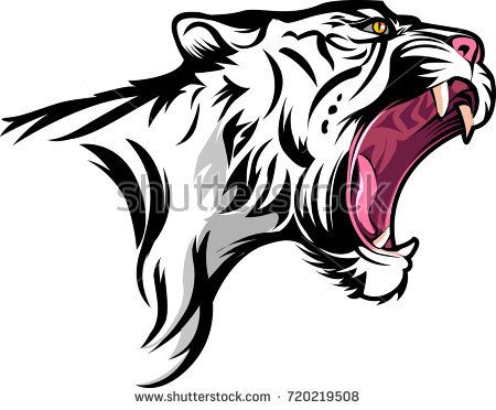 450x372 Vector Illustration White Tiger Head Vector Graphics
