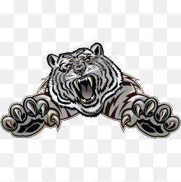 260x261 White Tiger Png Images Vectors And Psd Files Free Download On