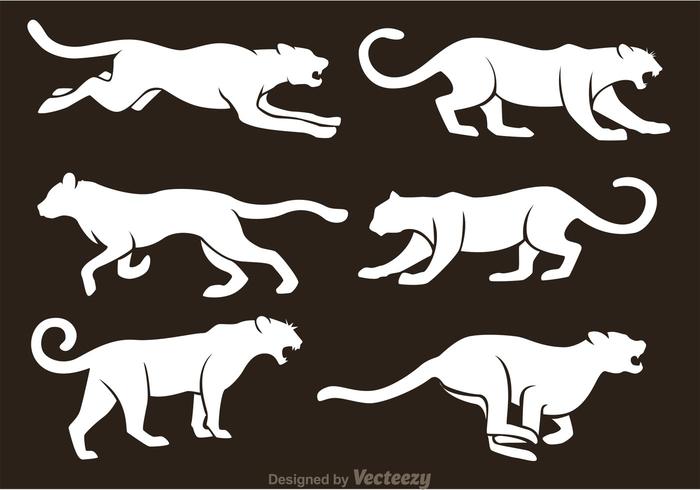 700x490 White Tiger Silhouette Vectors