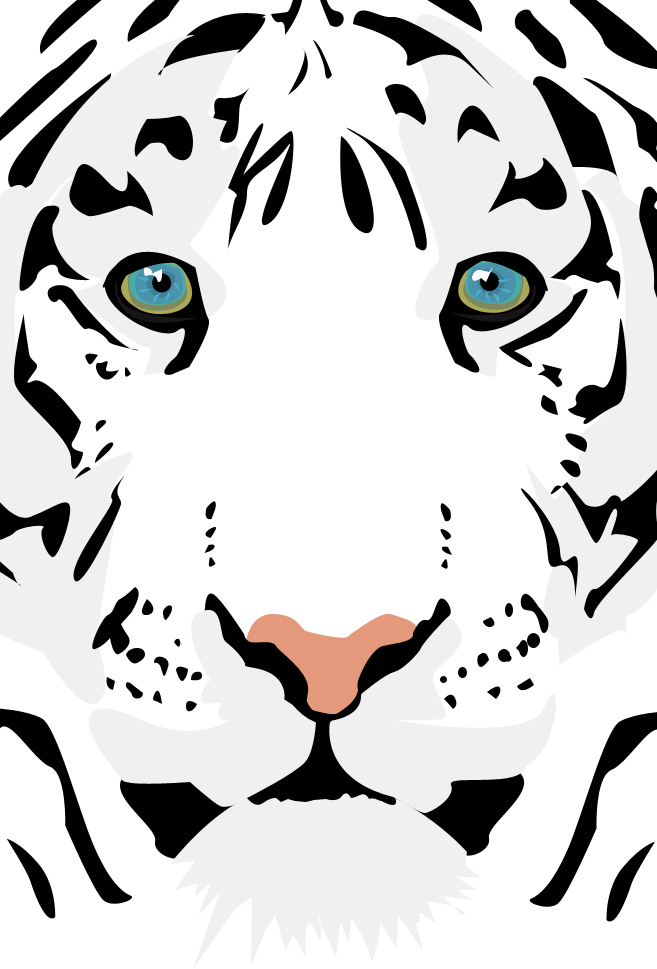 657x969 White Tiger Vector By Hoshi Kou